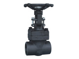 Forged Steel Gate Valve