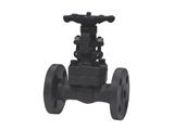 Forged Steel Globe Valve