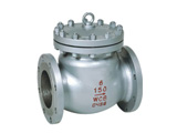 Swing Check Valve