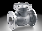 Lift Check Valve