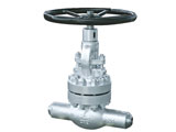 BS 1873 Globe Valve