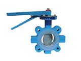 ANSI Butterfly Valve