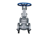 Pressure Seal Globe Valve