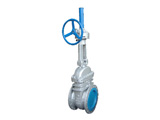 High Pressure Gate Valve